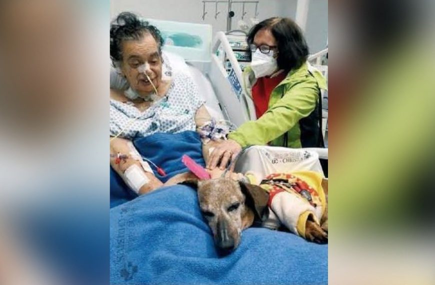 La historia de Carlos, paciente que pidió ver a su perrito antes de morir