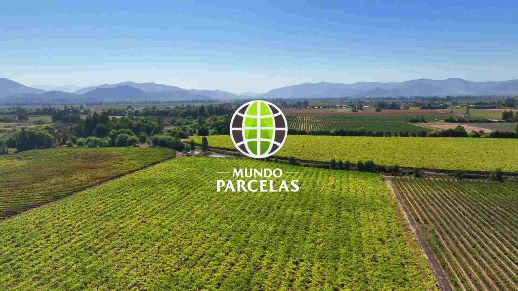 Vendieron más de 1.200 parcelas en 3 años - LoHaría